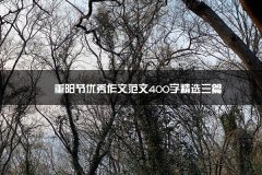 重阳节优秀作文范文400字广州大学有无考试精选三篇
