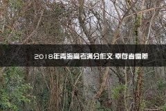 2023年陕西省咸阳考试地点青海高考满分作文：幸存者