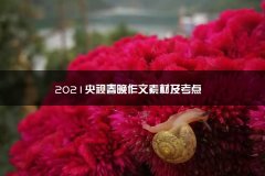 2023江西考试考啥科目央视春晚作文素