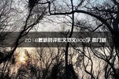 2023最新时评作文范文800字 热门新浙江考试教育院延期