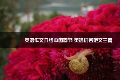 英语作文介绍中国春节为什么不延迟